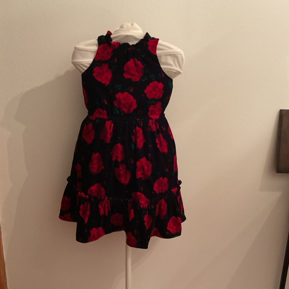 Janie and Jack Red Rose Velvet Dress – Size 5 (New, Never Worn)